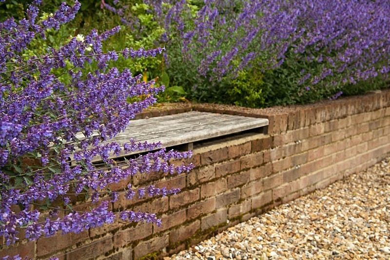 Garden photography by Ross Phillips of Forest Eyes Photography - Garden & Flower Portraits