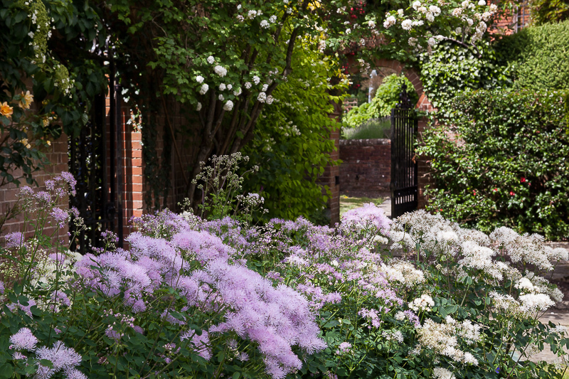  - Garden & Flower Portraits