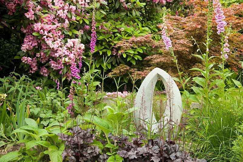 Garden photography by Ross Phillips of Forest Eyes Photography - Garden & Flower Portraits