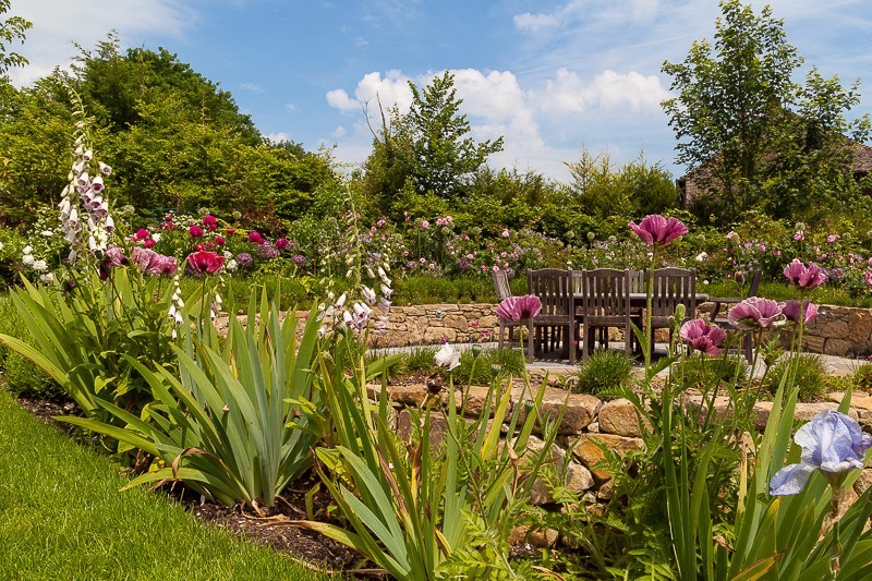  - Garden & Flower Portraits