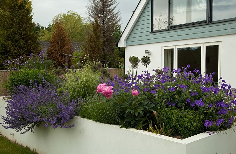 Garden photography by Ross Phillips of Forest Eyes Photography - Garden & Flower Portraits