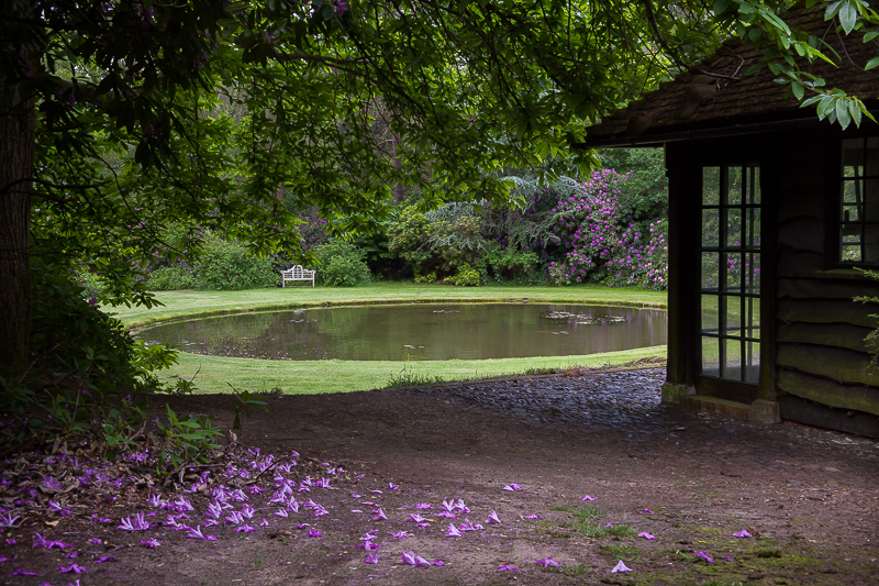  - Garden & Flower Portraits