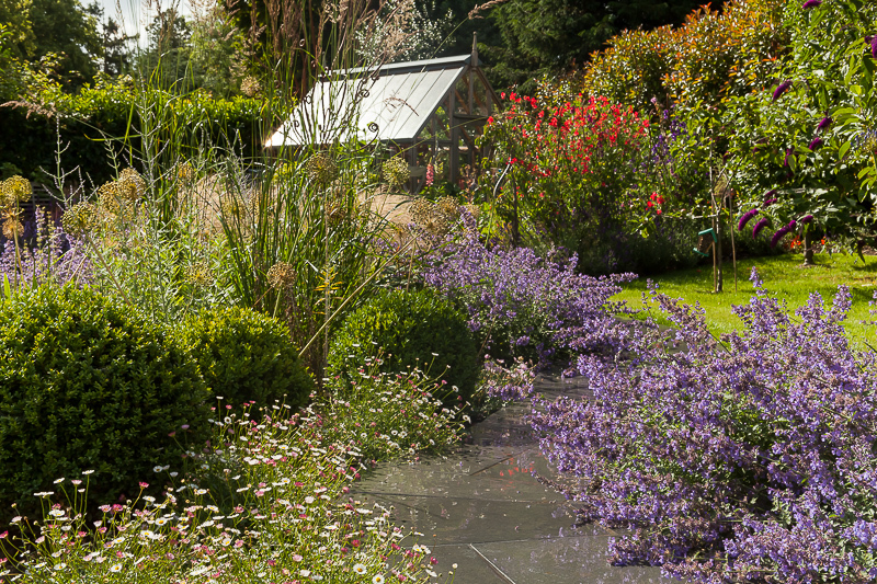  - Garden & Flower Portraits