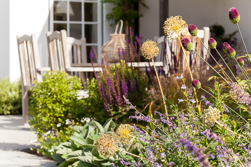  - Garden & Flower Portraits