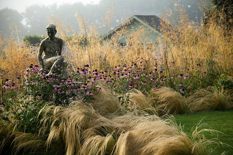  - Garden & Flower Portraits