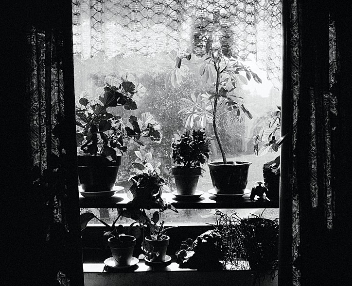 Meta's Window Slovenia - Others