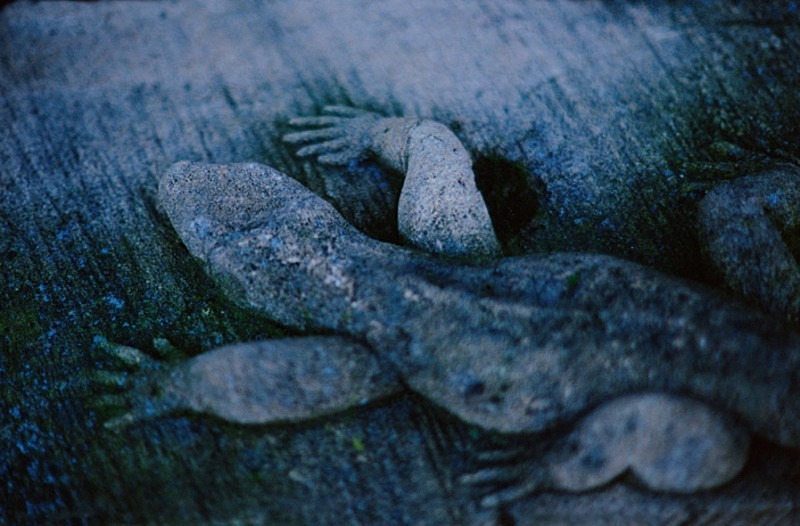 Stone Lizard - Others