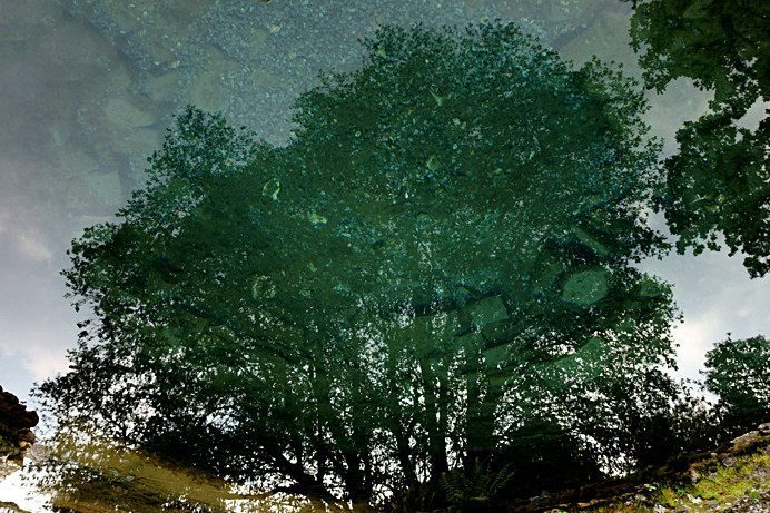 Reflection - Others