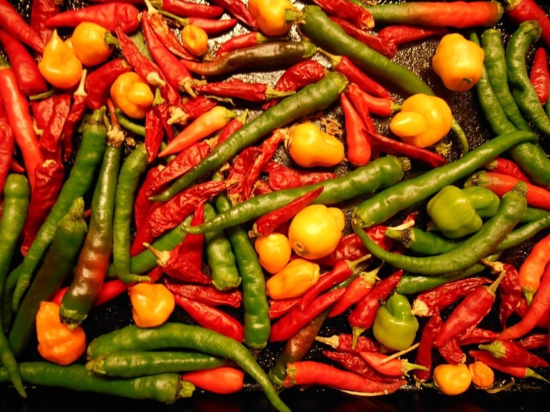 Chillies - Others