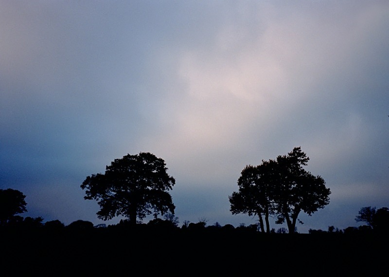 Totteridge Valley, London - Others
