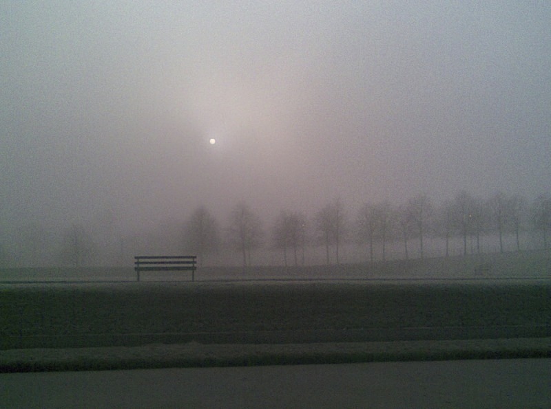 Queens Park, Glasgow 1 - Others