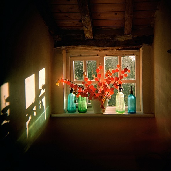 Window, Suffolk (Holga) - Others
