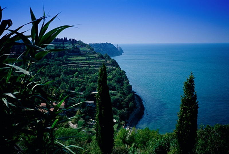 Slovenian Coast - Others