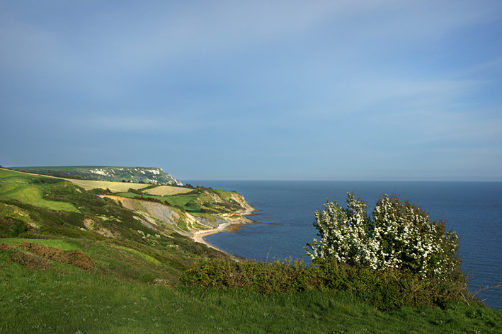 Osmington Dorset - Others