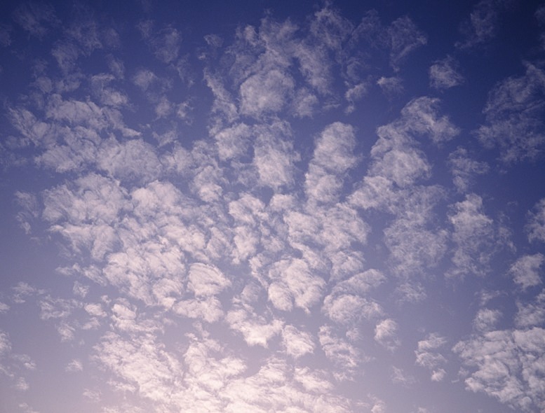 Sky10 - Skies
