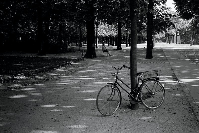 Jardins de Luxembourg Paris - Others