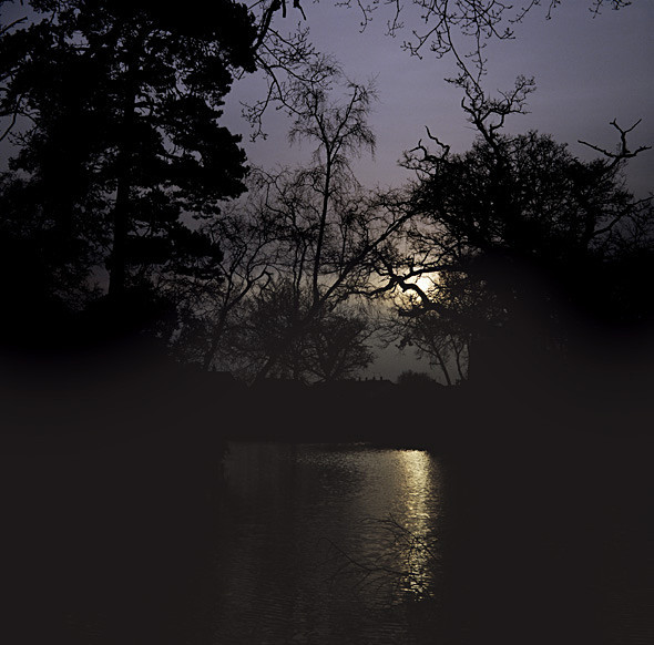 Trees-Lake - Others