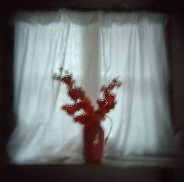 Suffolk Early Morning (Holga) - Others