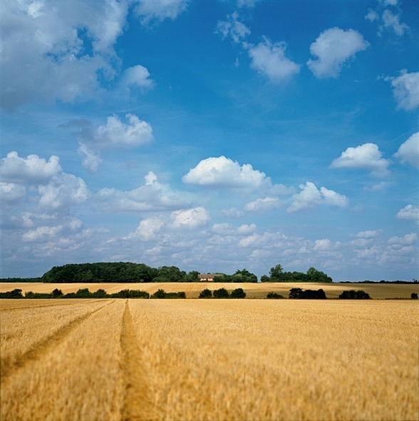 Suffolk Nr Lavenham - Others