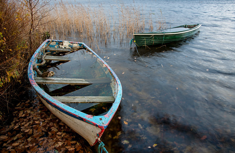  - Landscapes