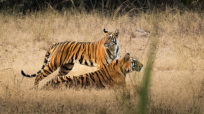 - Photographs of the Month
