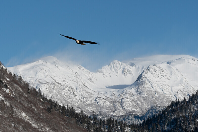  - Alaska