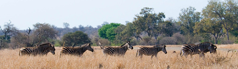  - South Africa