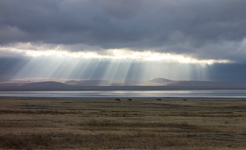  - Landscapes