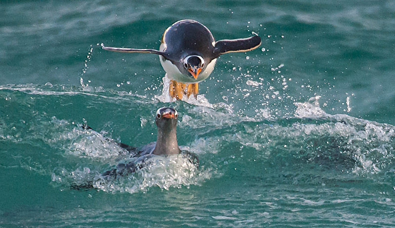  - South Georgia and the Falklands