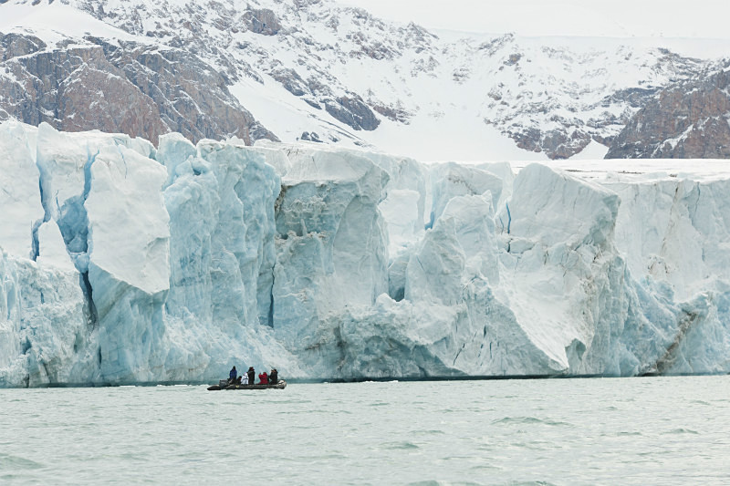  - Arctic