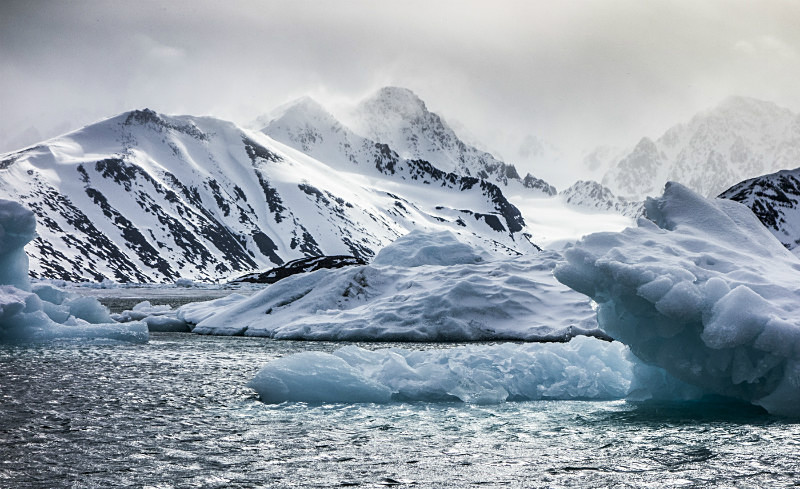  - Arctic