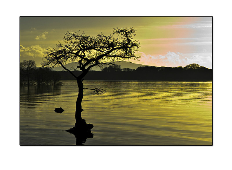  - Landscapes