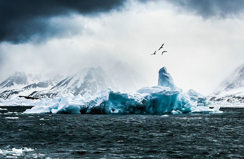  - Landscapes