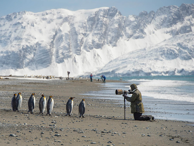  - South Georgia and the Falklands