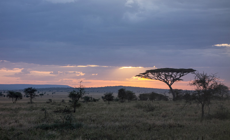  - Tanzanian