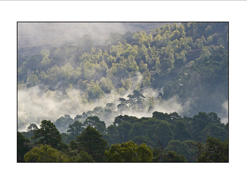  - Landscapes