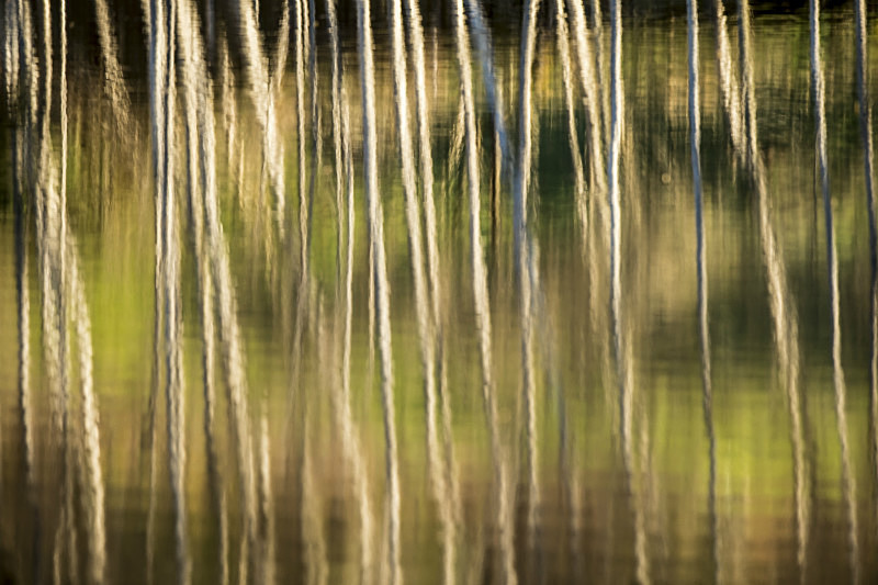  - Landscapes