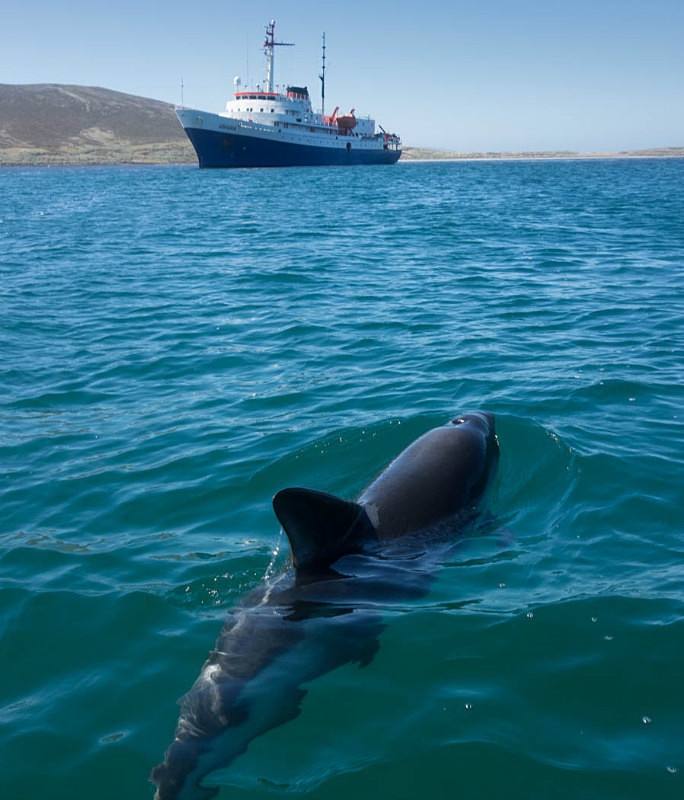  - South Georgia and the Falklands