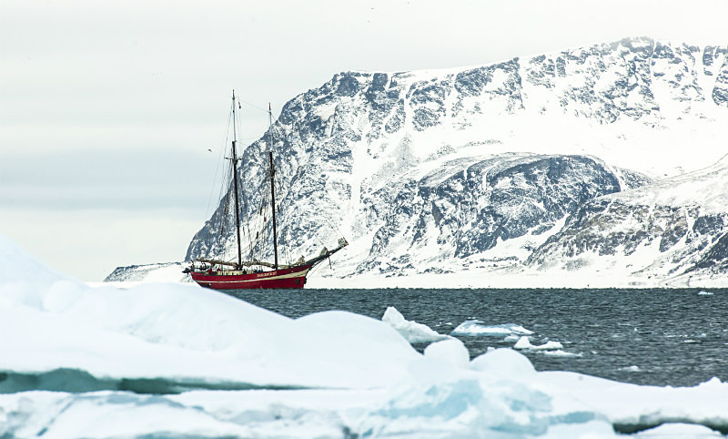  - Arctic