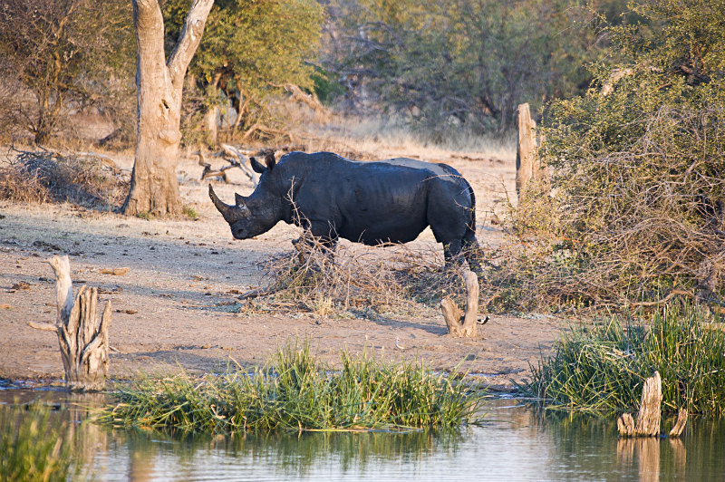  - South Africa