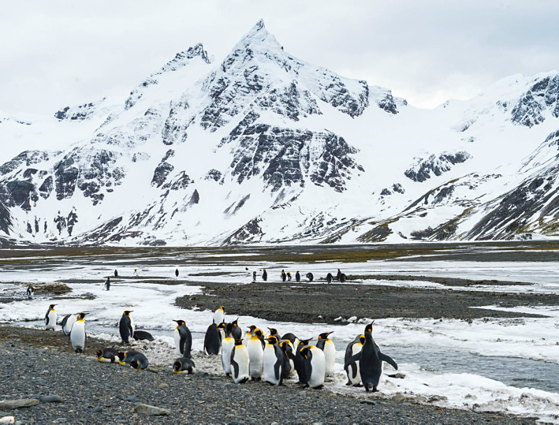  - South Georgia and the Falklands