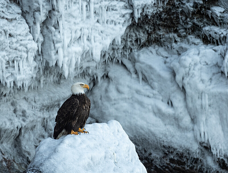  - Alaska