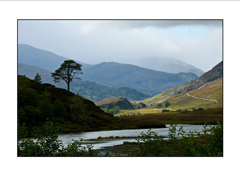  - Landscapes