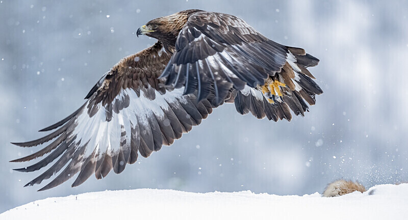  - Photographs of the Month