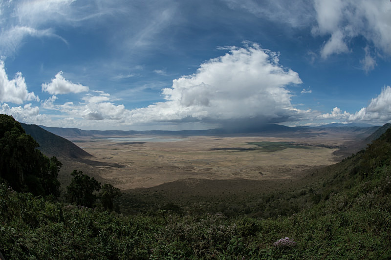  - Tanzanian