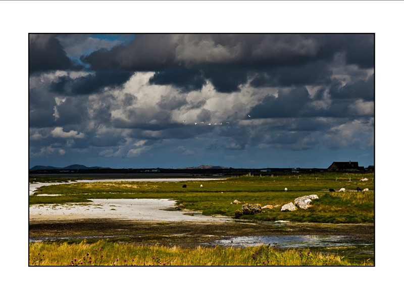  - Landscapes