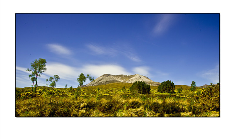  - Landscapes