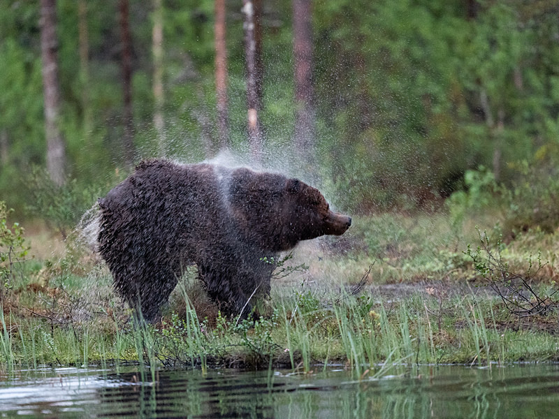  - Finland