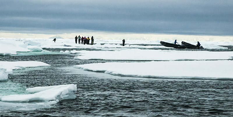  - Arctic