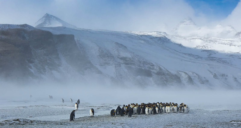  - South Georgia and the Falklands